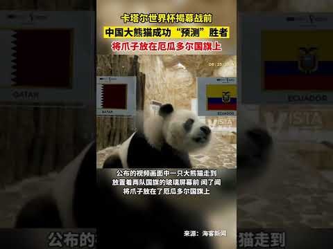 大乐透期号,专家推荐,洛城银河体,bet365中文版,体育博彩,娱乐游戏平台,在线投注,体育赛事,中文版平台